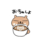 今日もりすくん2[冬のおまけつき]（個別スタンプ：34）