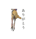 ウィペットスタンプ（個別スタンプ：3）