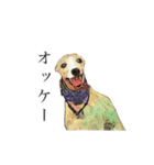 ウィペットスタンプ（個別スタンプ：5）