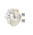 ウィペットスタンプ（個別スタンプ：6）