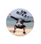 日々の安藤さん（個別スタンプ：8）
