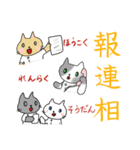 にゃんこOT（個別スタンプ：20）