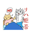 にゃんこOT（個別スタンプ：24）