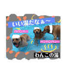 ゴールデンのニコと仲間たちの日常2（個別スタンプ：2）