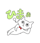 キモうさ＆キモねこ（個別スタンプ：8）