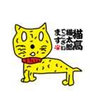 猫高猫太郎（個別スタンプ：1）