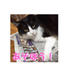 アルとかなめ（個別スタンプ：1）