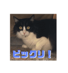 アルとかなめ（個別スタンプ：2）