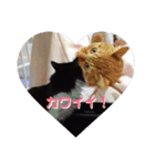 アルとかなめ（個別スタンプ：6）