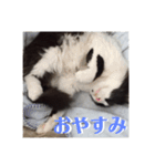 アルとかなめ（個別スタンプ：7）