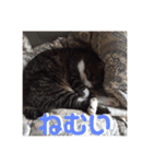 アルとかなめ（個別スタンプ：8）
