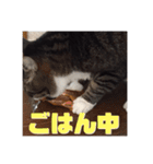 アルとかなめ（個別スタンプ：10）