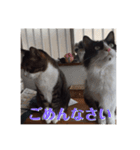 アルとかなめ（個別スタンプ：14）