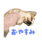 ゆちゅんすた2（個別スタンプ：8）