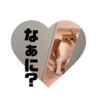 もっちースタンプ3だよ（個別スタンプ：1）