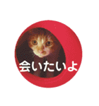 もっちースタンプ3だよ（個別スタンプ：3）