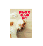 もっちースタンプ3だよ（個別スタンプ：5）
