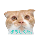 もっちースタンプ3だよ（個別スタンプ：14）