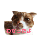 もっちースタンプ3だよ（個別スタンプ：18）