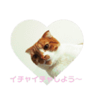 もっちースタンプ3だよ（個別スタンプ：21）