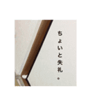 もっちースタンプ3だよ（個別スタンプ：23）