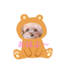 モモちゃんの日常（個別スタンプ：1）