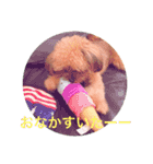 モモちゃんの日常（個別スタンプ：10）
