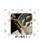 うさ＆わんstamp（個別スタンプ：12）