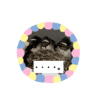 うさ＆わんstamp（個別スタンプ：15）