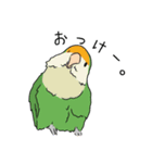 コザクラインコの日常（個別スタンプ：3）