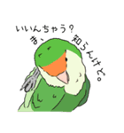 コザクラインコの日常（個別スタンプ：4）