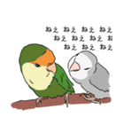 コザクラインコの日常（個別スタンプ：7）