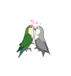 コザクラインコの日常（個別スタンプ：8）