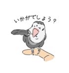 コザクラインコの日常（個別スタンプ：11）