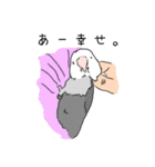 コザクラインコの日常（個別スタンプ：12）