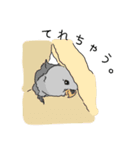 コザクラインコの日常（個別スタンプ：13）