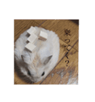 おもちたんの日常（個別スタンプ：2）