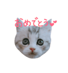 miu.nyan（個別スタンプ：9）