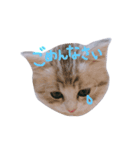 miu.nyan（個別スタンプ：10）