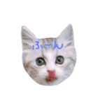 miu.nyan（個別スタンプ：11）