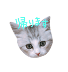 miu.nyan（個別スタンプ：14）
