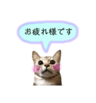 チップ＆ロコ（個別スタンプ：13）