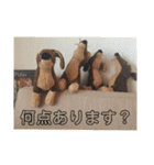 ジョンのスタンプ  わんこ  Mダックス犬（個別スタンプ：22）