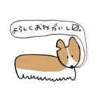 ふきだしいぬ（こーぎーみたいなこ）（個別スタンプ：1）