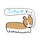 ふきだしいぬ（こーぎーみたいなこ）（個別スタンプ：10）