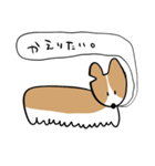 ふきだしいぬ（こーぎーみたいなこ）（個別スタンプ：14）