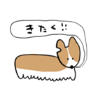ふきだしいぬ（こーぎーみたいなこ）（個別スタンプ：16）