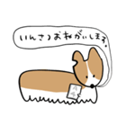 ふきだしいぬ（こーぎーみたいなこ）（個別スタンプ：20）