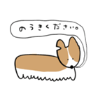 ふきだしいぬ（こーぎーみたいなこ）（個別スタンプ：21）