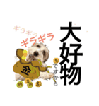 招福！大福！おめでとう♡（個別スタンプ：14）